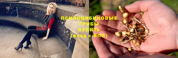 Альфа ПВП Абаза