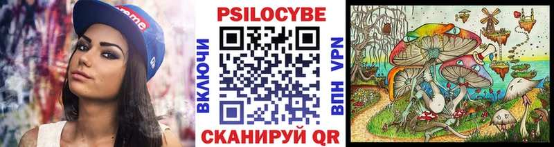 MEGA как зайти  Суджа  Псилоцибиновые грибы Cubensis 